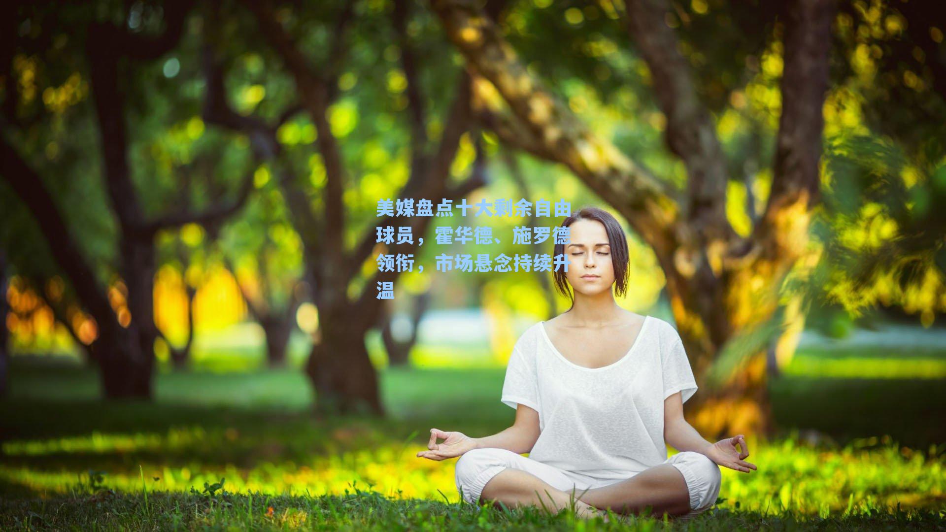 美媒盘点十大剩余自由球员,霍华德、施罗德领衔,市场悬念持续升温